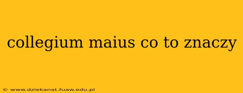 collegium maius co to znaczy