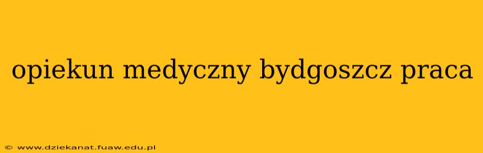 opiekun medyczny bydgoszcz praca