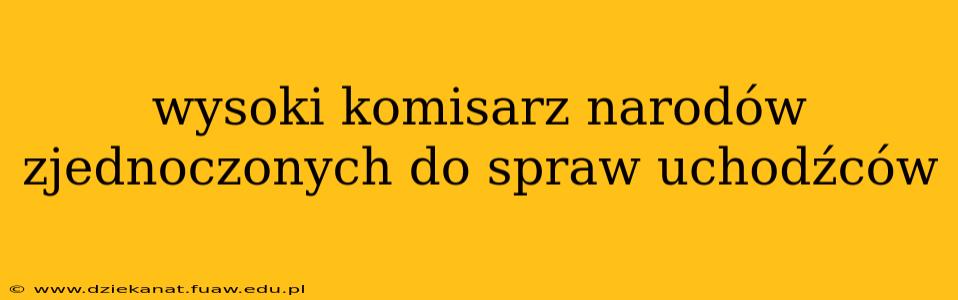 wysoki komisarz narodów zjednoczonych do spraw uchodźców